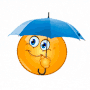 :raining-emoji1: